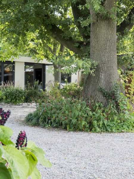 Venta_Veluwe_Horst_omgeving_Ermelo_50